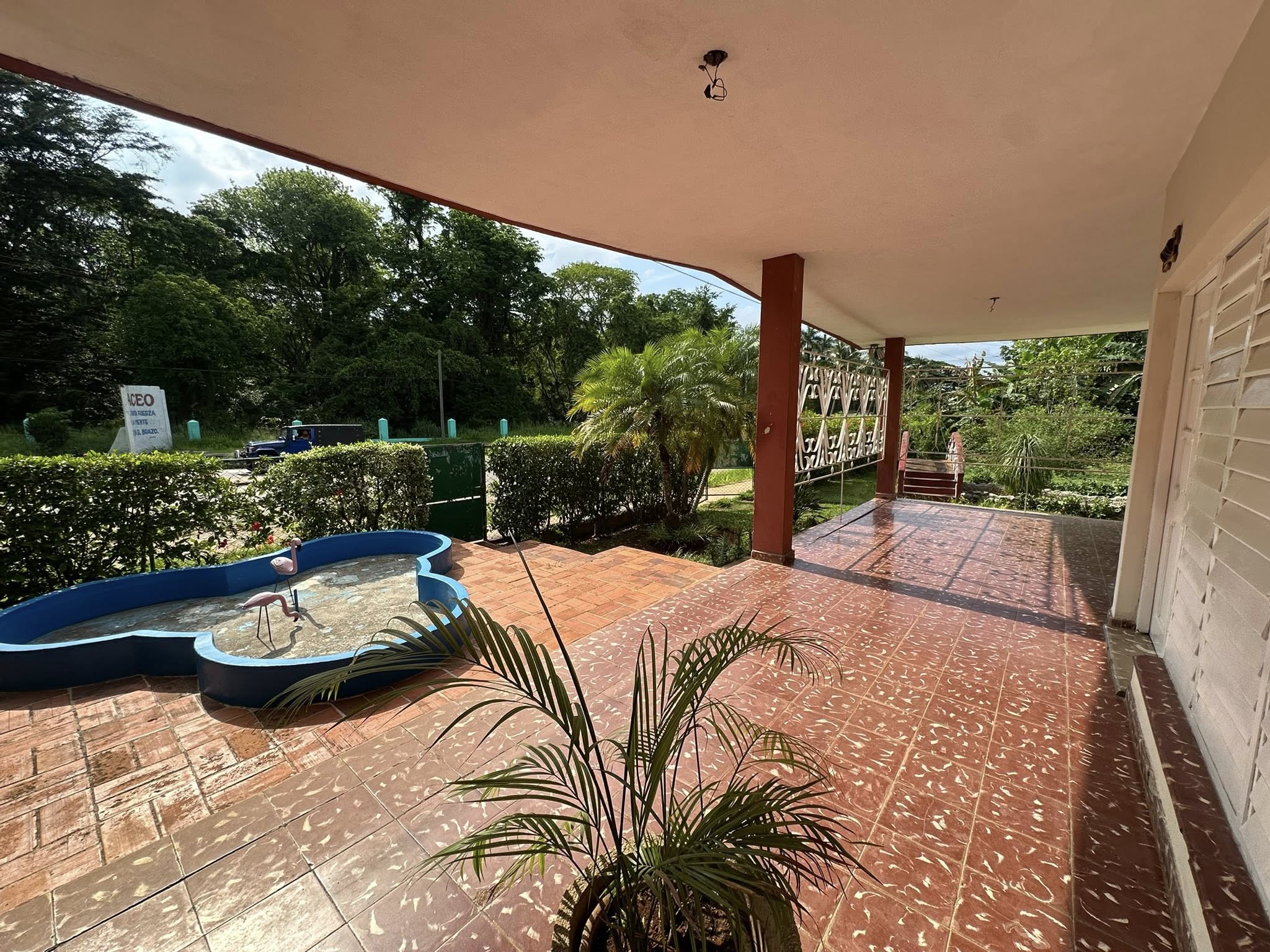 Tel: +53 53884384